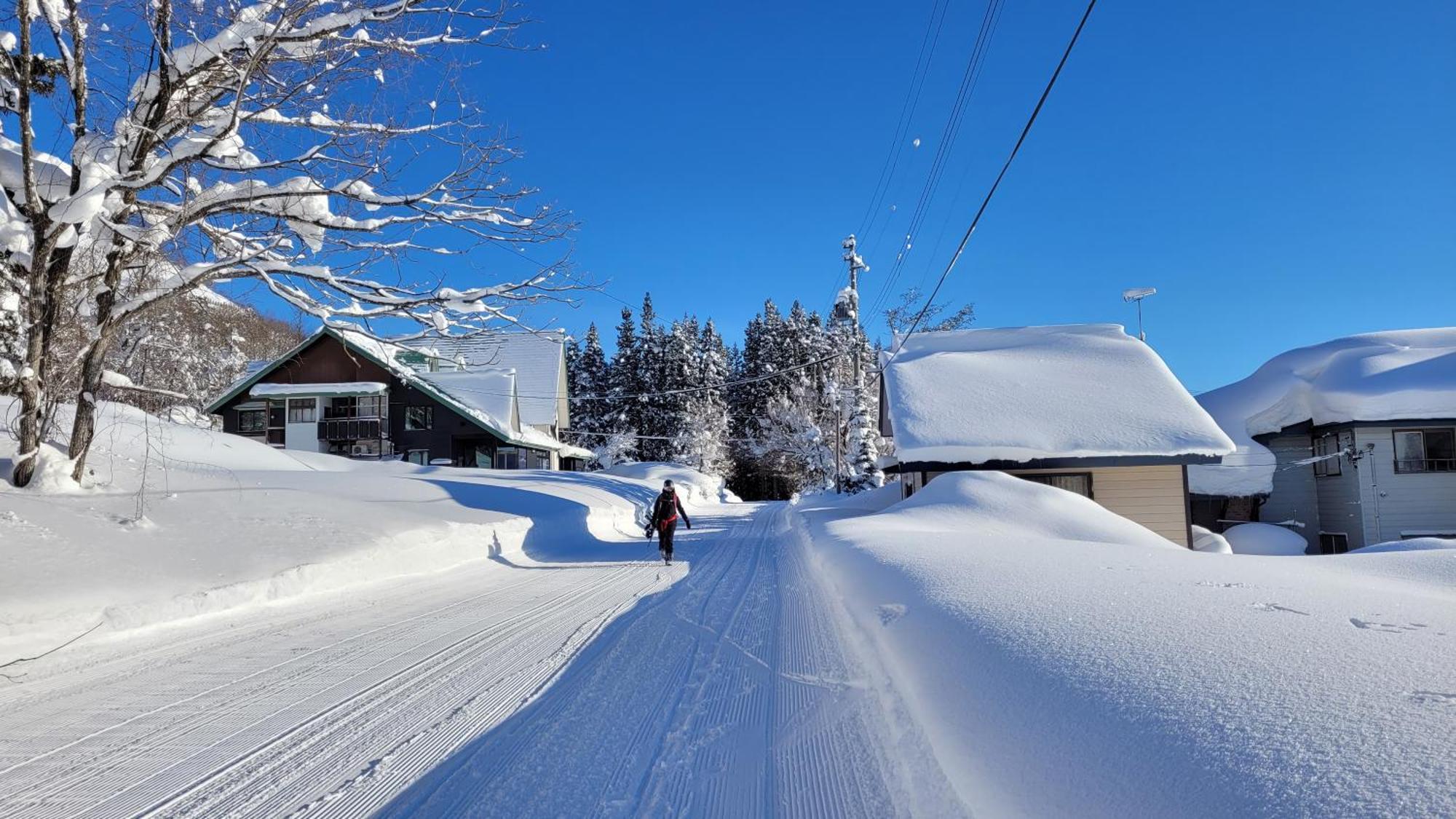 Kodama Lodge Otari Εξωτερικό φωτογραφία